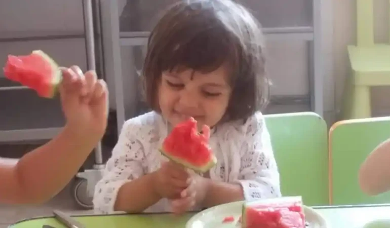 Alimentație sănătoasă