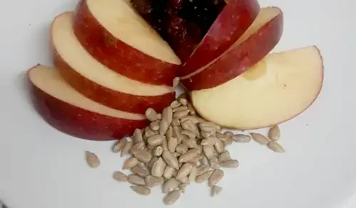 Alimentație sănătoasă