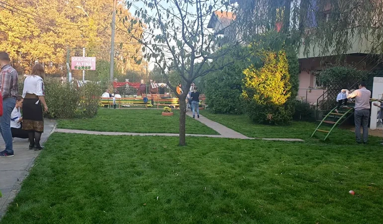 Galerie grădiniță