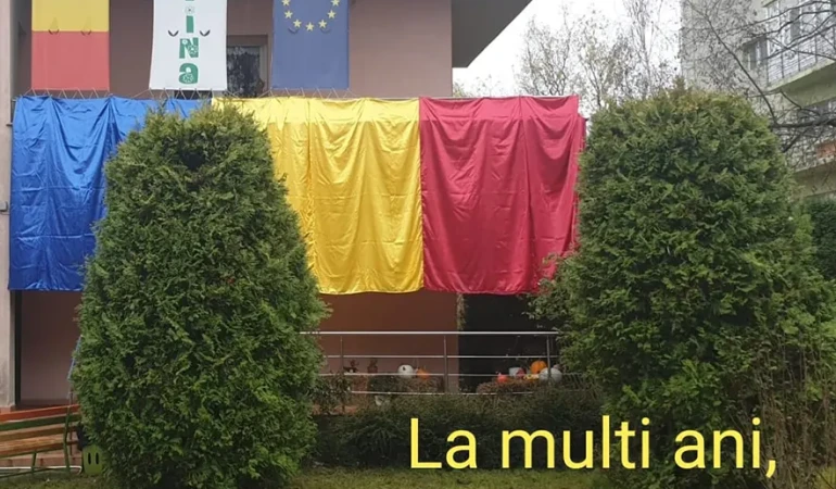 Galerie grădiniță